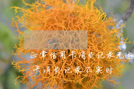 正常信用卡消费记录无逾期记录(为什么信用卡消费记录不实时)
