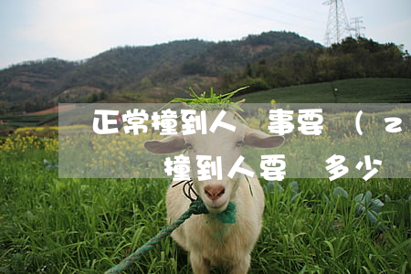 正常撞到人沒事要轉(zhuǎn)多少錢(開車撞到人要賠多少錢)