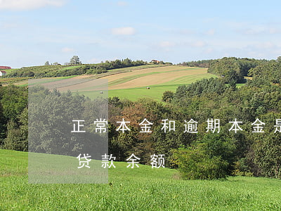 正常本金和逾期本金是什么意思(逾期本金和贷款余额)