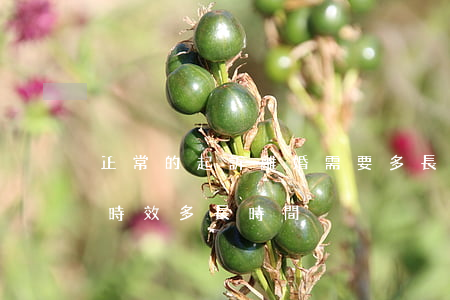 正常的起訴離婚需要多長時間(起訴離婚訴訟時效多長時間)