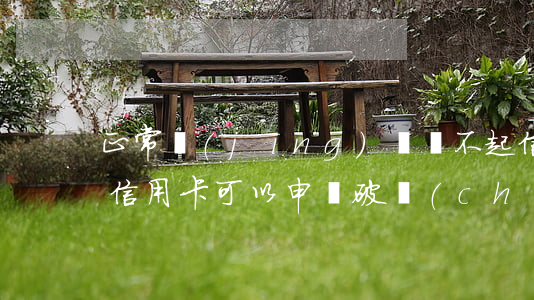 正常經(jīng)營還不起信用卡(還不起信用卡可以申請破產(chǎn)嗎)