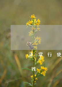 正常行使一般赔多少钱(正常行使一般赔多少钱)
