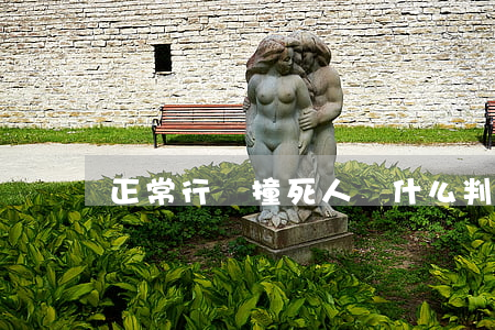 正常行駛撞死人為什么判全責(zé)