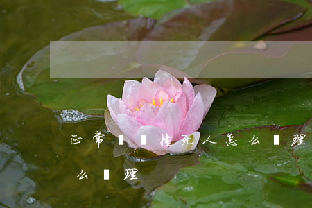 正常開車撞死人怎么處理(正常開車撞死人怎么處理)