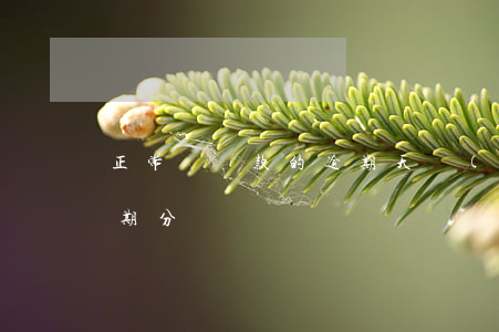 正常類貸款的逾期天數(shù)是(貸款逾期分類)