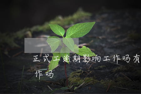 正式工逾期影响工作吗(有逾期行为能入职工作吗)