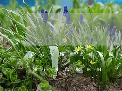 正式批捕后还能取保成功吗(取保候审后被批捕还可以取保吗)