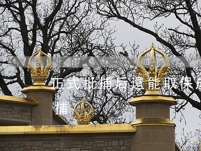 正式批捕后還能取保成功嗎(取保以后又被批捕)