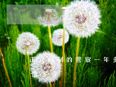 正式编制的警察一年多少年薪(警察第一年工资多少)
