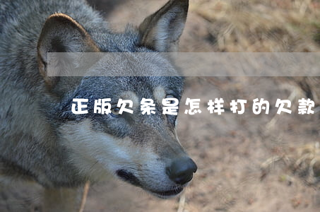 正版欠条是怎样打的(欠款条怎么打是正规的)