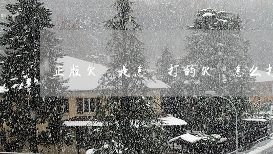 正版欠條是怎樣打的(欠條怎么打的)