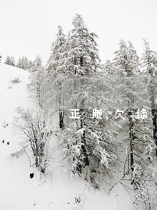 正版欠條是怎樣打的(欠款條怎么打是正規(guī)的)