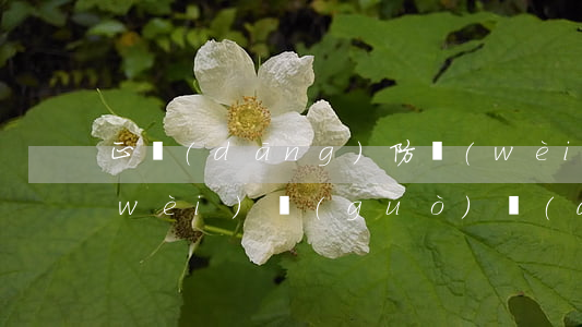 正當(dāng)防衛(wèi)和防衛(wèi)過(guò)當(dāng)(怎么算正當(dāng)防衛(wèi)和防衛(wèi)過(guò)當(dāng))