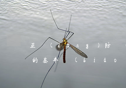 正當(dāng)防衛(wèi)必要限度的基本標(biāo)準(zhǔn)是什么