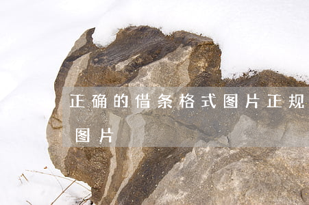 正确的借条格式图片 正规(正规借条书写格式图片)