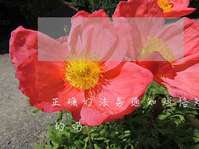 正确的法务通知短信(短信发的法务通知是真的吗)