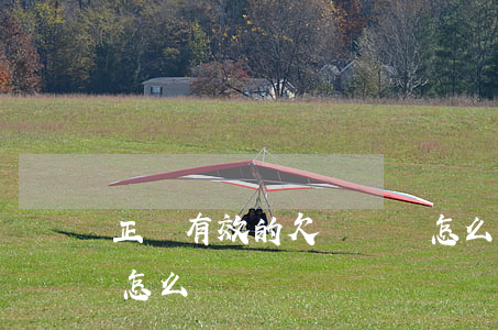 正確有效的欠條應該怎么寫(簡單有效的欠條怎么寫)