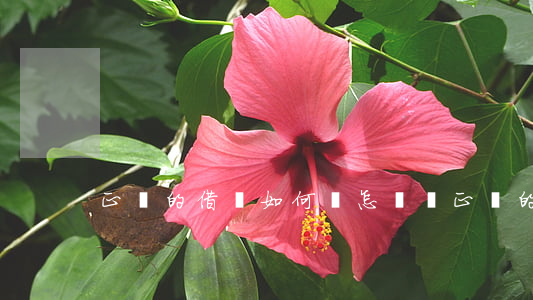 正確的借條如何寫，怎樣寫正確的借條
