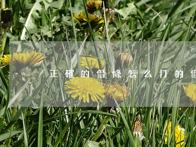 正確的借條怎么打的(借條怎么打好)