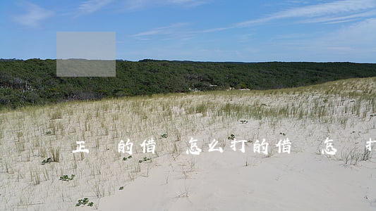正確的借條怎么打的(借條怎樣打)