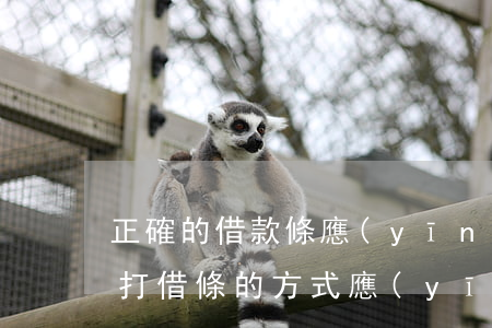 正確的借款條應(yīng)該怎么打(正確打借條的方式應(yīng)該怎么寫)