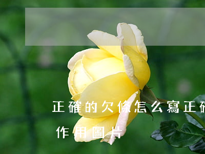 正確的欠條怎么寫(正確的欠條怎么寫有法律作用圖片)