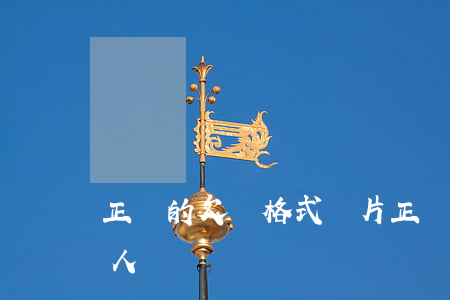 正確的欠條格式圖片(正確的欠條格式圖片 個人)