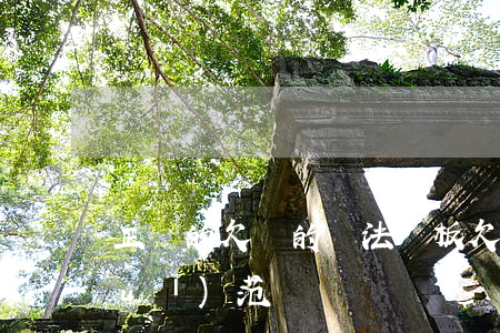 正確的欠條的寫法 樣板(欠條怎么寫才規(guī)范)