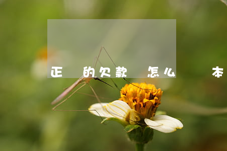 正確的欠款條怎么寫樣本