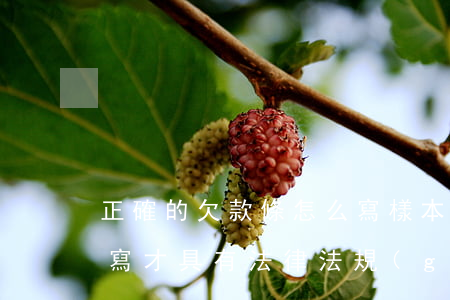 正確的欠款條怎么寫樣本(正確的欠款條怎么寫才具有法律法規(guī))