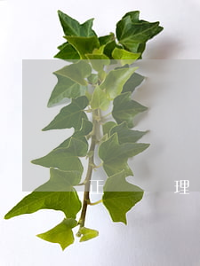 正確處理信用卡分期還款：方法與技巧