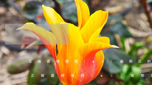 正確處理債務(wù)逾期后的處理方法-正確處理債務(wù)逾期后的處理方法是