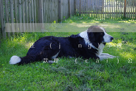 正經(jīng)事理財(cái)逾期未還款(理財(cái)公司到期不還本金報(bào)警)
