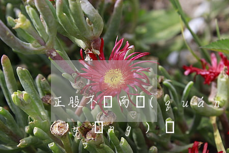 正股不變而權(quán)證價上升時的應(yīng)對