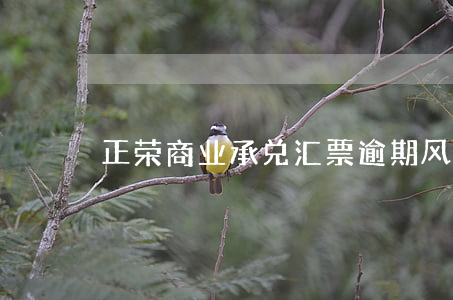 正荣商业承兑汇票逾期风险