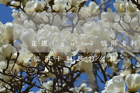 正規(guī)信用卡利息(正規(guī)信用卡利息怎么算)