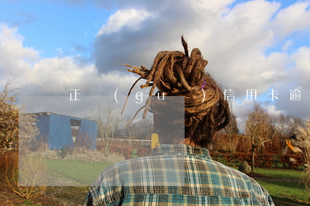正規(guī)信用卡逾期三天會怎么樣