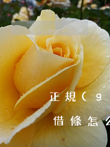 正規(guī)個人借款條怎么寫(個人借款借條怎么寫)
