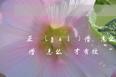 正規(guī)借條怎么寫(正規(guī)借條怎么寫才有效)