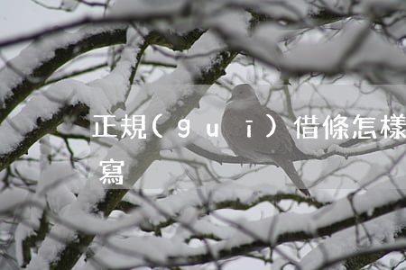 正規(guī)借條怎樣寫(借錢的借條怎么寫)