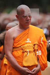 正規(guī)借條文本下載(正規(guī)借條電子版)