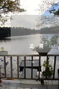 正規(guī)借條模板格式樣本(正規(guī)借條模板格式樣本下載)