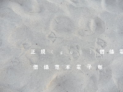 正規(guī)借條電子版(正規(guī)借條范本電子版)