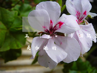 正規(guī)借款怎么打條(如何打借條才是合法的)