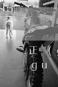 正規(guī)兼職網(wǎng)(正規(guī)兼職網(wǎng)絡(luò)平臺(tái))