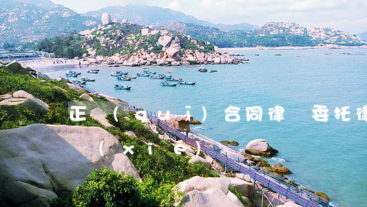 正規(guī)合同律師委托(律師委托代理協(xié)議)
