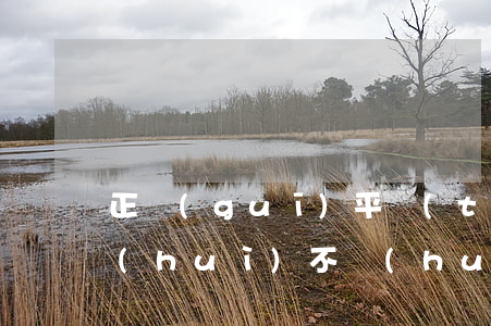 正規(guī)平臺(tái)逾期利息會(huì)不會(huì)越來越多