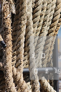 正規(guī)平臺逾期起訴程序(逾期平臺說要起訴是真的嗎?)