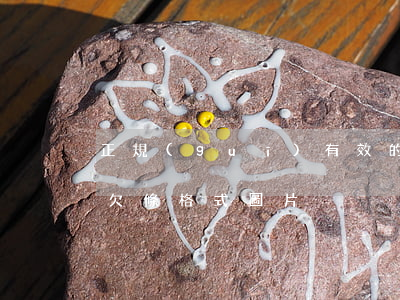 正規(guī)有效的欠條格式圖片(正確的欠條格式圖片)