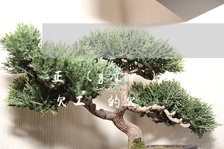 正規(guī)欠工資條怎么寫圖片(如何寫欠工資的欠條)